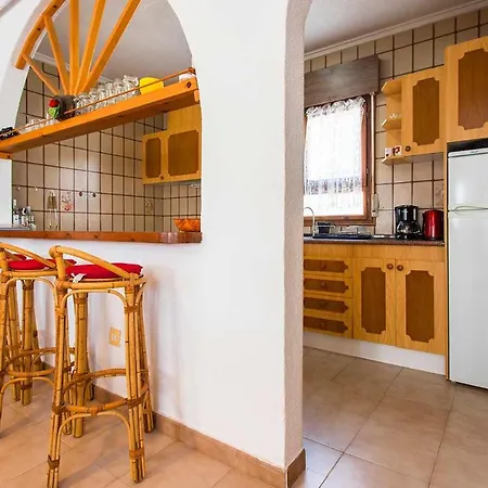 فيلة Ch Velazquez سيوداد كيسادا