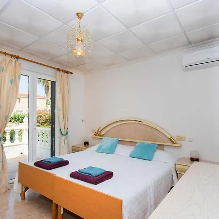 فيلة Ch Velazquez