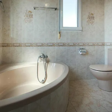 Ch Velazquez فيلة